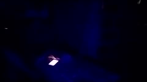 hackerbtc11 online show from April 8, 2026, 3:17 am