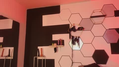 Snapshot of haileycat_ chatting on January 25, 2025, 12:27 am haileycat_ online show from January 25, 2025, 12:27 am