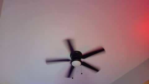  Hailey  online show from March 8, 2025, 9:06 am