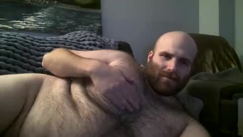 Snapshot of hairiestbear chatting on January 17, 2025, 7:41 am Hairiest Bear online show from January 17, 2025, 7:41 am