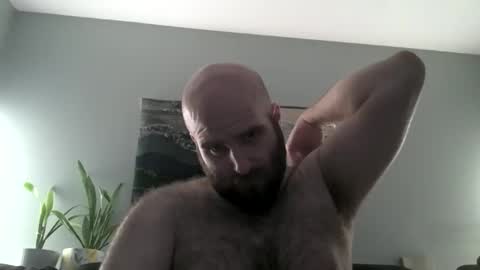 Snapshot of hairiestbear chatting on April 1, 2026, 6:25 am Hairiest Bear online show from April 1, 2026, 6:25 am