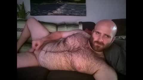 Snapshot of hairiestbear chatting on April 22, 2026, 11:39 pm Hairiest Bear online show from April 22, 2026, 11:39 pm