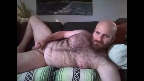 Snapshot of hairiestbear chatting on May 13, 2026, 7:22 pm Hairiest Bear online show from May 13, 2026, 7:22 pm
