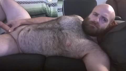 Snapshot of hairiestbear chatting on June 27, 2026, 8:30 am Hairiest Bear online show from June 27, 2026, 8:30 am