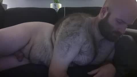 Snapshot of hairiestbear chatting on July 8, 2026, 7:02 am Hairiest Bear online show from July 8, 2026, 7:02 am