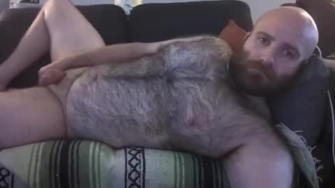 Snapshot of hairiestbear chatting on July 23, 2026, 12:36 pm Hairiest Bear online show from July 23, 2026, 12:36 pm