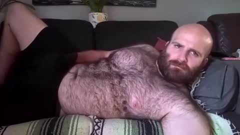 Snapshot of hairiestbear chatting on July 31, 2026, 8:30 pm Hairiest Bear online show from July 31, 2026, 8:30 pm