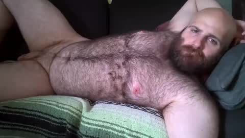 Snapshot of hairiestbear chatting on August 1, 2026, 8:08 pm Hairiest Bear online show from August 1, 2026, 8:08 pm