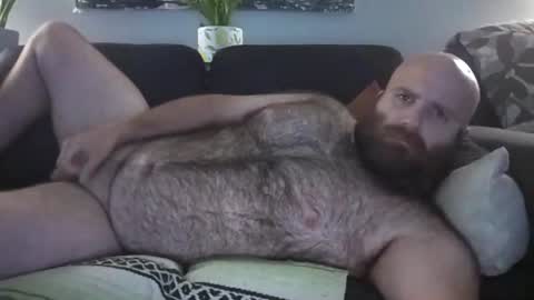 Snapshot of hairiestbear chatting on August 2, 2026, 9:08 am Hairiest Bear online show from August 2, 2026, 9:08 am