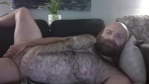 Snapshot of hairiestbear chatting on August 9, 2026, 5:23 am Hairiest Bear online show from August 9, 2026, 5:23 am