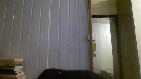 horny online show from January 3, 2025, 10:40 pm