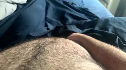 hairynicedaddy online show from May 5, 2026, 3:53 pm