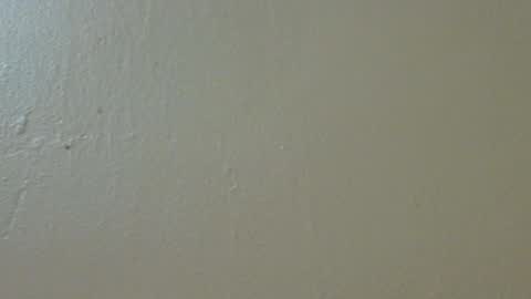 hamhead71 online show from February 4, 2025, 9:52 pm