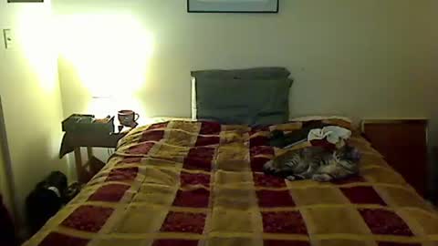 hammerthatthang73 online show from April 4, 2026, 5:06 am