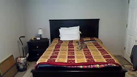 hammerthatthang73 online show from April 15, 2026, 10:54 pm