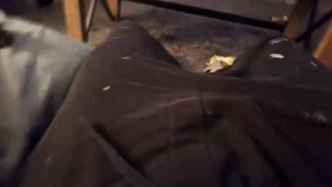 handylong88 online show from November 19, 2025, 5:51 am