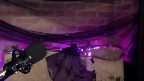 Hannah online show from December 16, 2025, 2:05 am