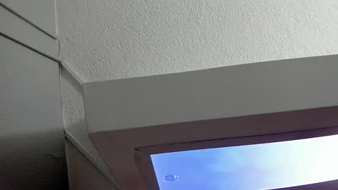 HANNY online show from February 1, 2025, 11:54 am