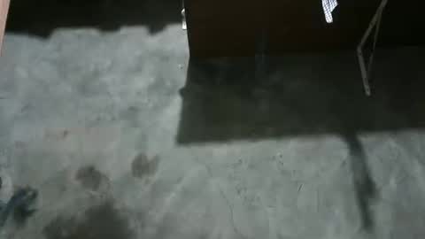 happy00725310 online show from December 19, 2025, 11:50 am