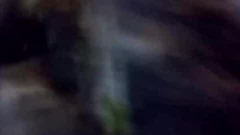 happydick69a online show from October 2, 2025, 1:29 pm