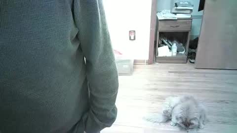 Hardy-Har online show from January 3, 2025, 8:01 pm