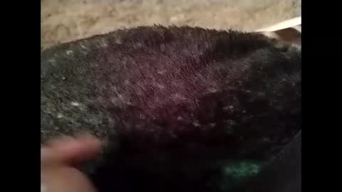 Snapshot of hardandhorny422 chatting on October 13, 2025, 5:24 pm hardandhorny422 online show from October 13, 2025, 5:24 pm