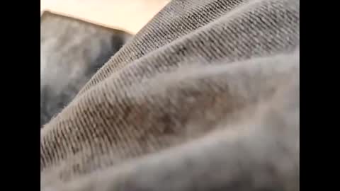 Snapshot of hardandhorny422 chatting on October 30, 2025, 11:55 am hardandhorny422 online show from October 30, 2025, 11:55 am