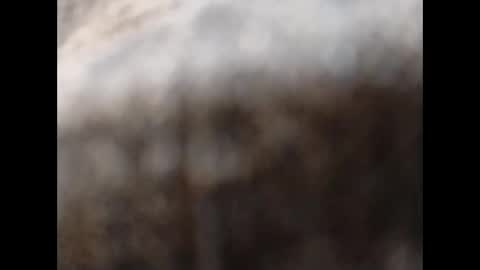 Snapshot of hardandhorny422 chatting on November 11, 2025, 11:54 am hardandhorny422 online show from November 11, 2025, 11:54 am