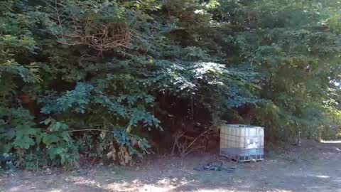 hardworkertn online show from September 23, 2025, 6:33 pm