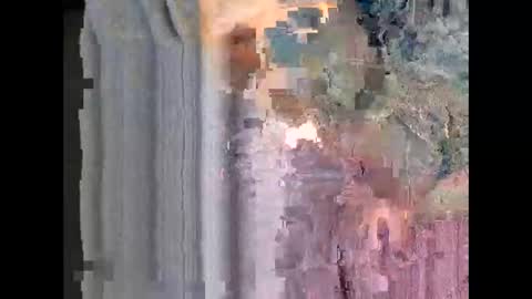 harruu online show from February 5, 2026, 2:38 am