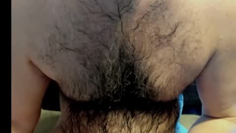 harry_banana online show from January 14, 2025, 1:17 pm