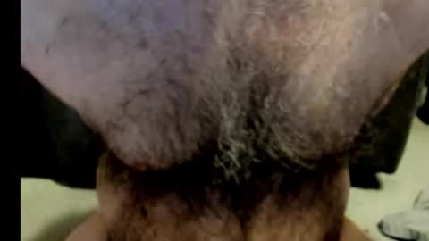 harry_banana online show from January 17, 2025, 8:02 am