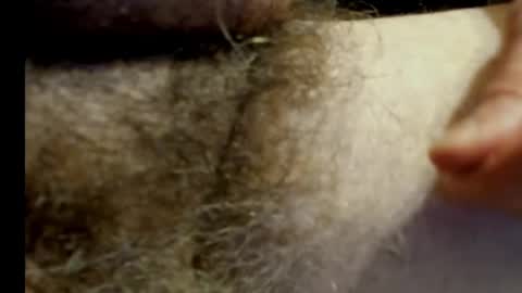 harry_banana online show from January 20, 2025, 11:10 pm