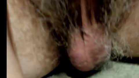 harry_banana online show from February 1, 2025, 8:50 am