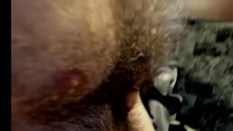 harry_banana online show from February 10, 2025, 10:40 pm