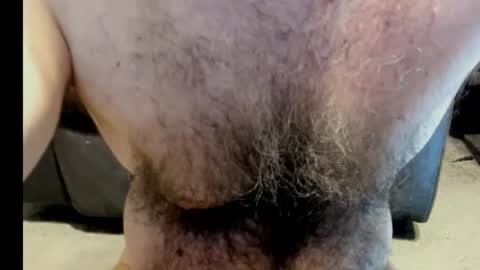 harry_banana online show from February 24, 2025, 11:43 am