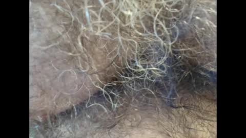 harry_banana online show from September 11, 2025, 1:11 pm