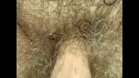 harry_banana online show from September 23, 2025, 12:41 pm