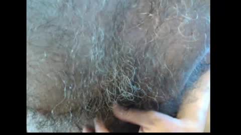 harry_banana online show from April 3, 2026, 12:47 pm