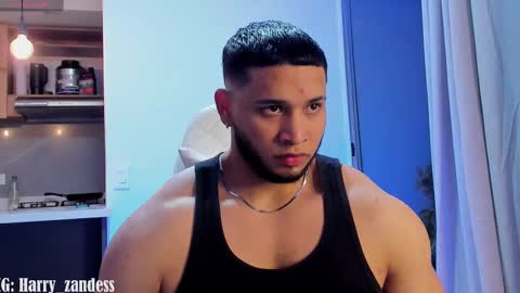 Harry Zandes online show from February 13, 2025, 4:22 am