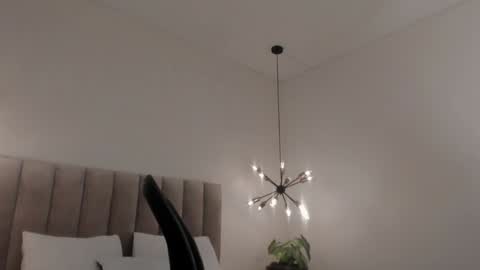 Snapshot of harryy_joness chatting on January 18, 2025, 5:37 pm Harry Jones online show from January 18, 2025, 5:37 pm