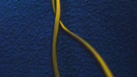Snapshot of hathor_01_ chatting on March 5, 2025, 11:49 am andres online show from March 5, 2025, 11:49 am