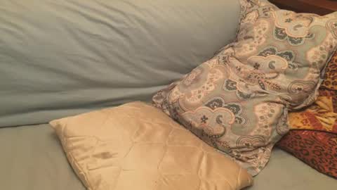 Snapshot of havedream1m chatting on December 17, 2024, 12:11 pm havedream1m online show from December 17, 2024, 12:11 pm