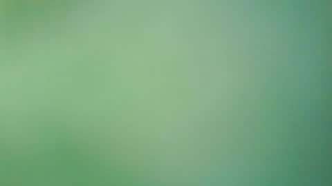 hello_night online show from July 27, 2026, 8:16 pm