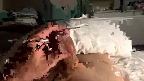 henry0043 online show from December 2, 2024, 12:29 pm