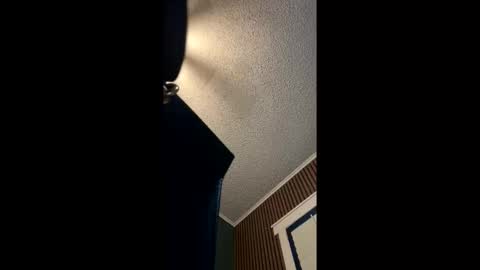Hentai KittyXx online show from May 20, 2026, 12:06 am