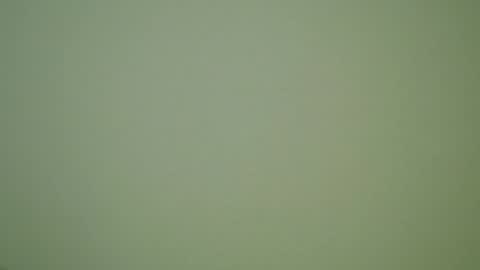 Snapshot of herbstenden chatting on December 30, 2024, 10:01 pm John Pearl online show from December 30, 2024, 10:01 pm