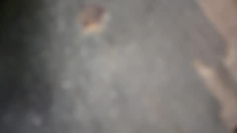 Snapshot of herletigre12345 chatting on October 18, 2025, 5:32 am herletigre12345 online show from October 18, 2025, 5:32 am