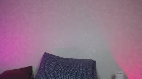 Hesssa Prime time  The broadcasts start at 3am and 3 pm London time  online show from December 28, 2024, 3:04 pm