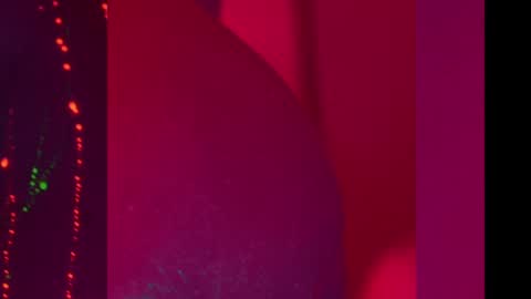 Snapshot of heybanan chatting on December 11, 2024, 8:18 pm Alina online show from December 11, 2024, 8:18 pm